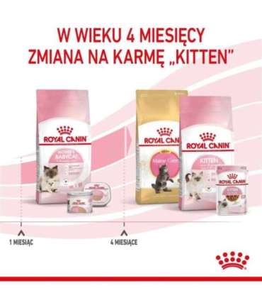 Royal Canin Mother & Babycat cats dry food 4 kg Adult Poultry