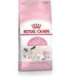 Royal Canin Mother & Babycat cats dry food 4 kg Adult Poultry
