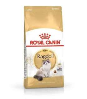 Royal Canin FBN Ragdoll Adult dry cat food 2 kg