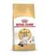 Royal Canin FBN Ragdoll Adult dry cat food 2 kg