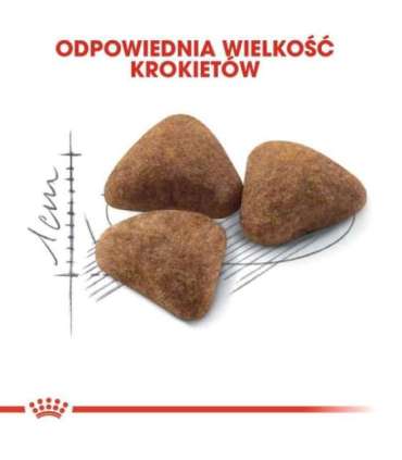 Royal Canin FHN Indoor - dry food for adult cats - 4kg