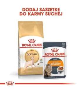 Royal Canin Sphynx dry cat food 2 kg