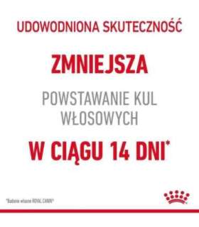 Royal Canin Hairball Care dry cat food 2 kg