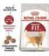 Royal Canin Feline Fit 2kg cats dry food Adult