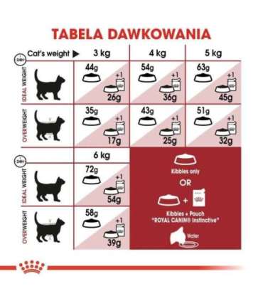 Royal Canin Feline Fit 2kg cats dry food Adult