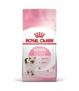 Royal Canin FHN Kitten - dry kitten food - 4kg