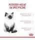 Royal Canin FHN Kitten - dry kitten food - 4kg