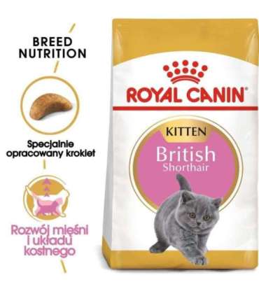 Royal Canin British Shorthair Kitten cats dry food 2 kg Poultry, Rice, Vegetable