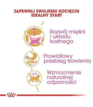 Royal Canin British Shorthair Kitten cats dry food 2 kg Poultry, Rice, Vegetable