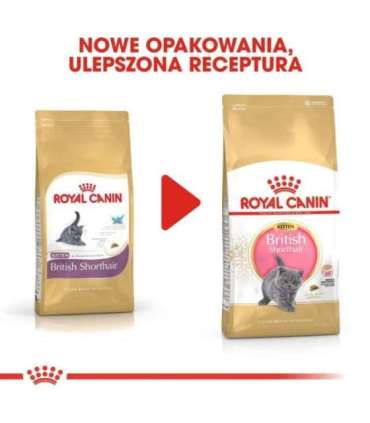 Royal Canin British Shorthair Kitten cats dry food 2 kg Poultry, Rice, Vegetable