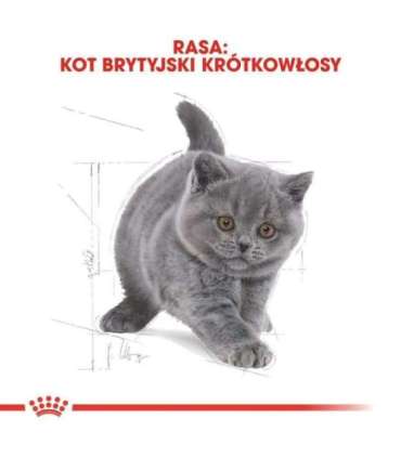 Royal Canin British Shorthair Kitten cats dry food 2 kg Poultry, Rice, Vegetable