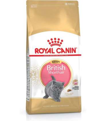 Royal Canin British Shorthair Kitten cats dry food 2 kg Poultry, Rice, Vegetable