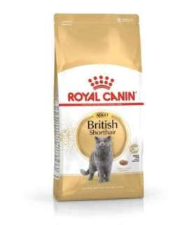 ROYAL CANIN British Shorthair - dry cat food - 2 kg