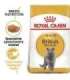 ROYAL CANIN British Shorthair - dry cat food - 2 kg