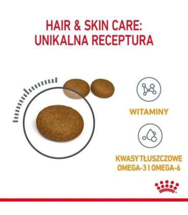 ROYAL CANIN Hair&Skin Care Adult - dry cat food - 400g