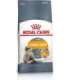 ROYAL CANIN Hair&Skin Care Adult - dry cat food - 400g
