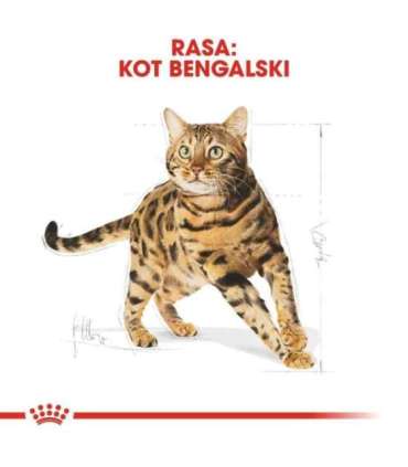 Royal Canin Bengal Adult cats dry food 2 kg Poultry, Vegetable