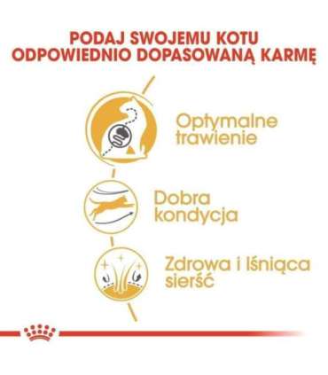 Royal Canin Bengal Adult cats dry food 2 kg Poultry, Vegetable