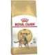 Royal Canin Bengal Adult cats dry food 2 kg Poultry, Vegetable
