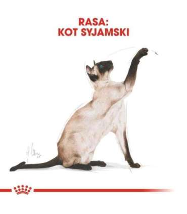 ROYAL CANIN Siamese Adult - dry cat food - 2 kg