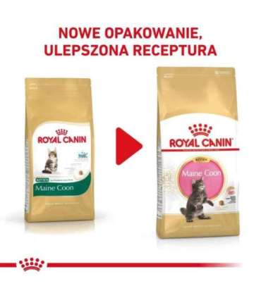 ROYAL CANIN Maine Coon Kitten - dry cat food - 2 kg