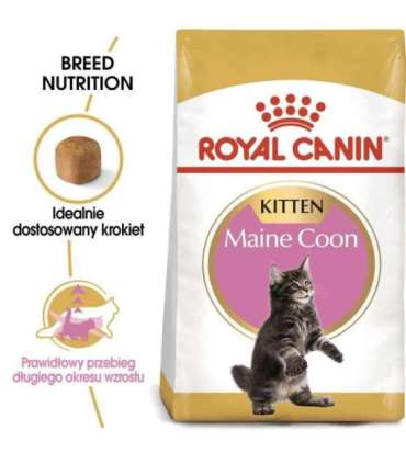 ROYAL CANIN Maine Coon Kitten - dry cat food - 2 kg