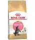 ROYAL CANIN Maine Coon Kitten - dry cat food - 2 kg