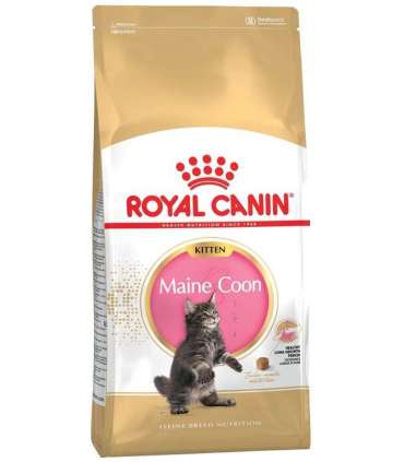 ROYAL CANIN Maine Coon Kitten - dry cat food - 2 kg