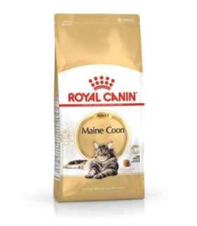 Royal Canin FBN Maine Coon Adult -  dry food for adult cats - 4kg
