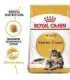 Royal Canin FBN Maine Coon Adult -  dry food for adult cats - 4kg