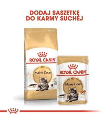 Royal Canin FBN Maine Coon Adult -  dry food for adult cats - 4kg