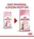 Royal Canin Kitten Sterilised cats dry food 3.5 kg Poultry