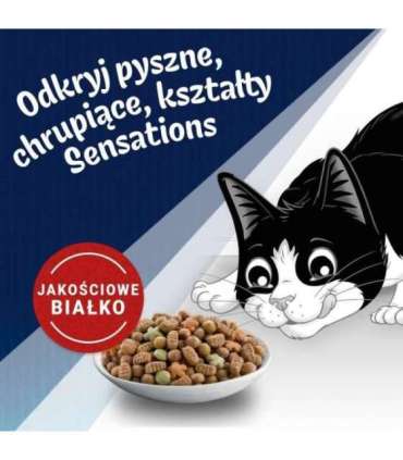 PURINA Felix Countryside Sensations - dry cat food - 1kg
