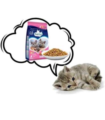 PREVITAL Junior Chicken - dry cat food - 950g