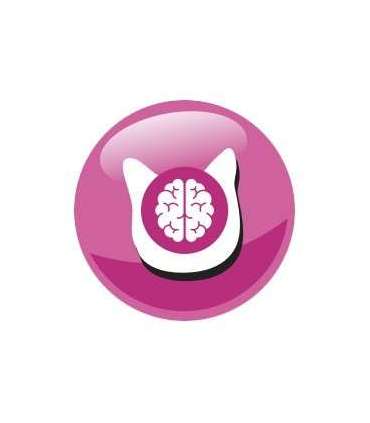 PREVITAL Junior Chicken - dry cat food - 950g