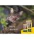 Josera NatureCat cats dry food 2 kg Adult Poultry, Salmon