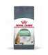 ROYAL CANIN Digestive Care Adult - dry cat food - 400g