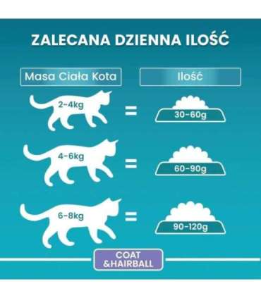 PURINA One Bifensis Coat & Hairball Chicken - dry cat food - 800 g