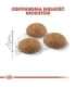Royal Canin Active Life Outdoor cats dry food 4 kg Adult Poultry