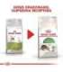 Royal Canin Active Life Outdoor cats dry food 4 kg Adult Poultry