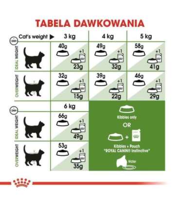 Royal Canin Active Life Outdoor cats dry food 4 kg Adult Poultry