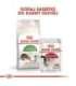 Royal Canin Active Life Outdoor cats dry food 4 kg Adult Poultry