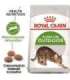 Royal Canin Active Life Outdoor cats dry food 4 kg Adult Poultry