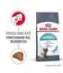Royal Canin Hairball Care cats dry food 10 kg Adult Corn, Poultry, Rice, Vegetable