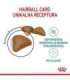Royal Canin Hairball Care cats dry food 10 kg Adult Corn, Poultry, Rice, Vegetable