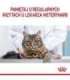 Royal Canin Hairball Care cats dry food 10 kg Adult Corn, Poultry, Rice, Vegetable