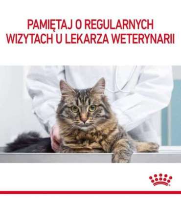 Royal Canin Hairball Care cats dry food 10 kg Adult Corn, Poultry, Rice, Vegetable