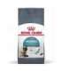 Royal Canin Hairball Care cats dry food 10 kg Adult Corn, Poultry, Rice, Vegetable
