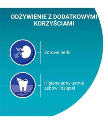 PURINA One Bifensis Senior 7+ - dry cat food - 800 g