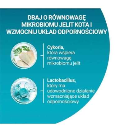 PURINA One Bifensis Senior 7+ - dry cat food - 800 g